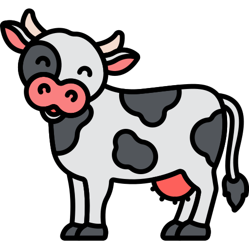 cow img